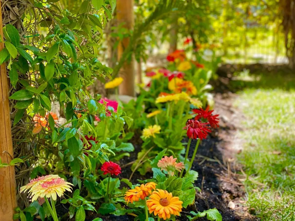 Beach Garden Paradise Durrës